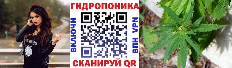 Где купить наркоту Пошехонье Бутират  Мефедрон  Кокаин  Галлюциногенные грибы  ГАШ  СОЛЬ  Бошки Шишки 