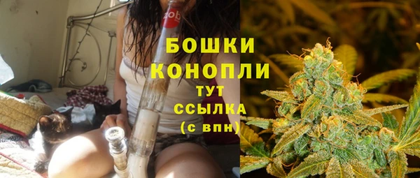 молекула духа Нязепетровск