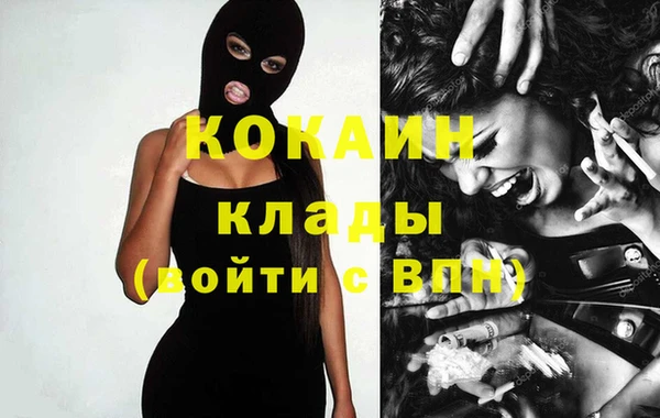 кокс Арсеньев