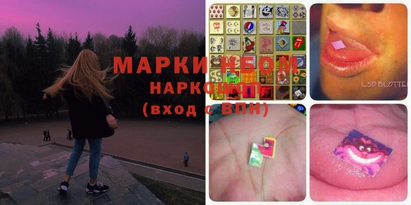 кокс Арсеньев
