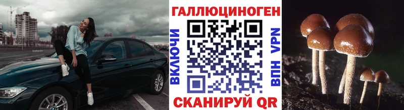 Псилоцибиновые грибы Cubensis  где купить наркотик  Пошехонье 